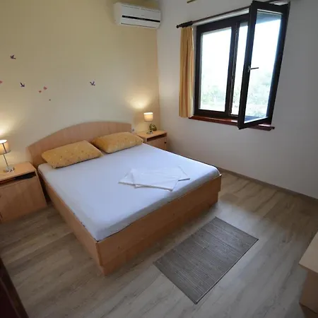 5893a Kožino