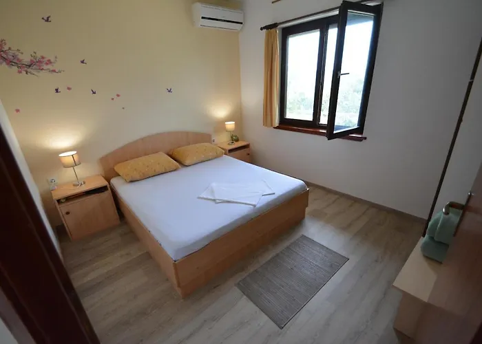5893a Kožino